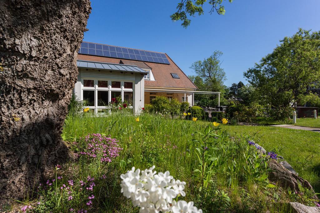 Hotel Alt Wittower Krug Wiek auf Rügen Dış mekan fotoğraf